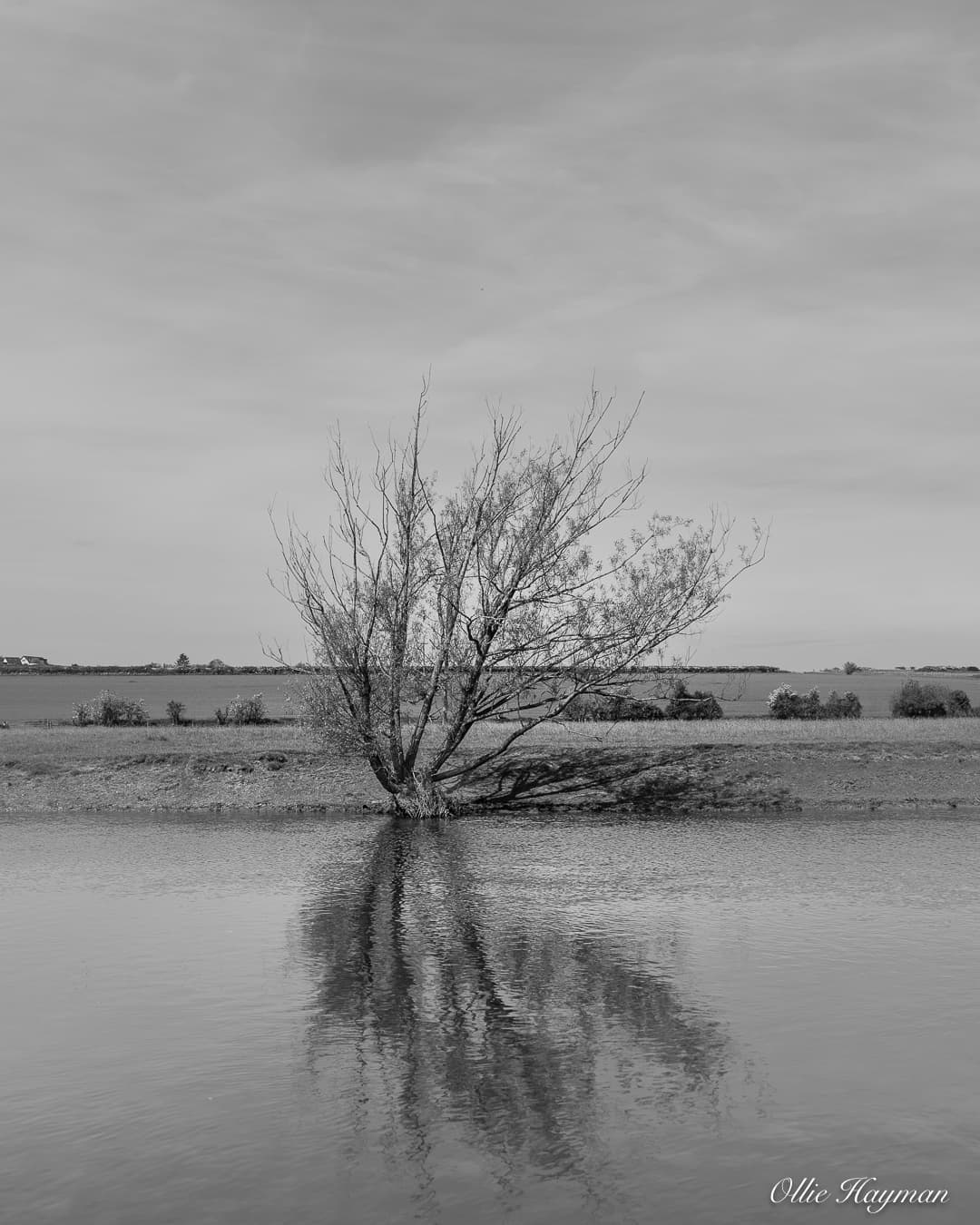 Photo taken by me