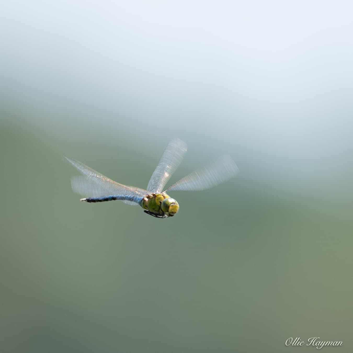 Photo taken by me