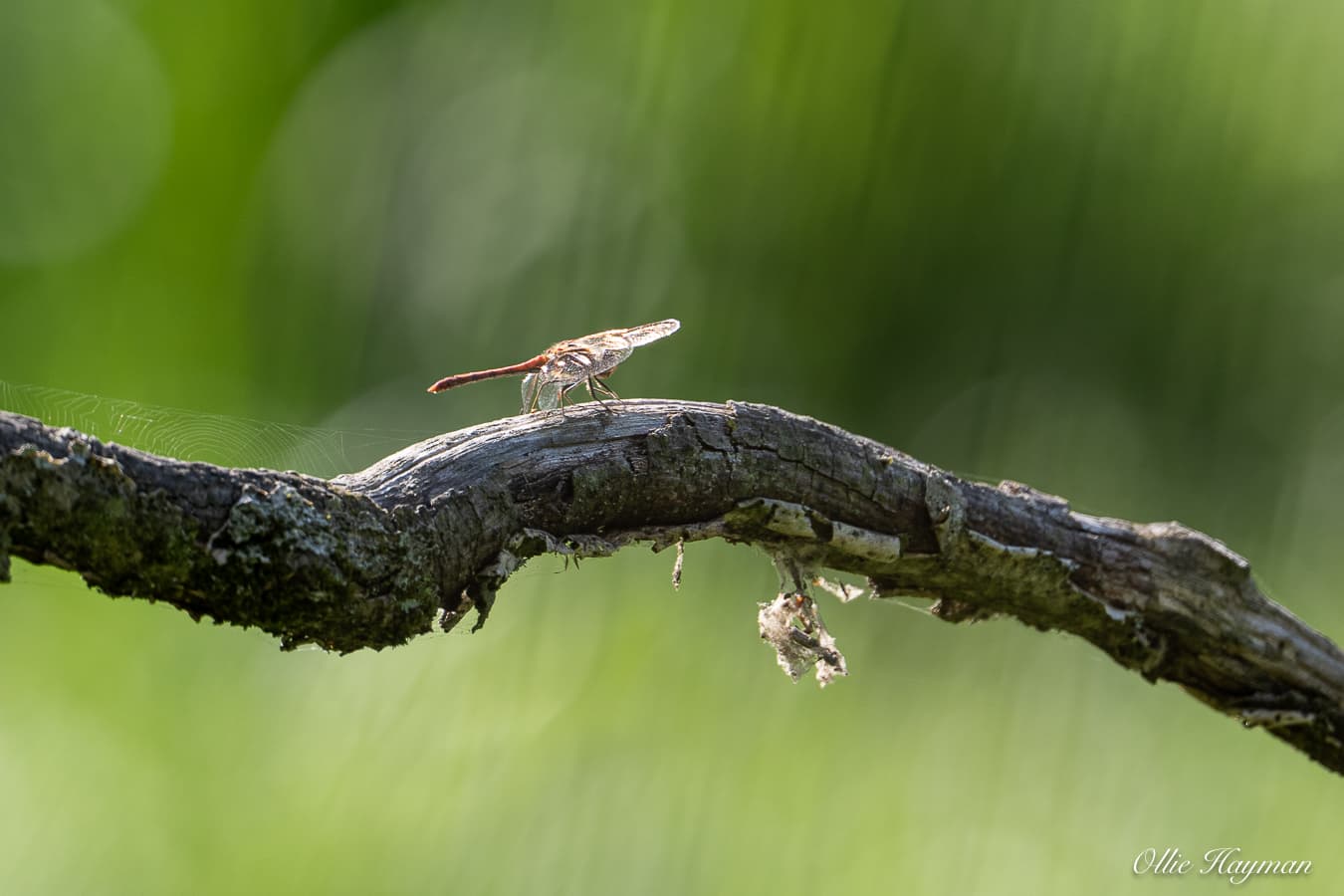 Photo taken by me